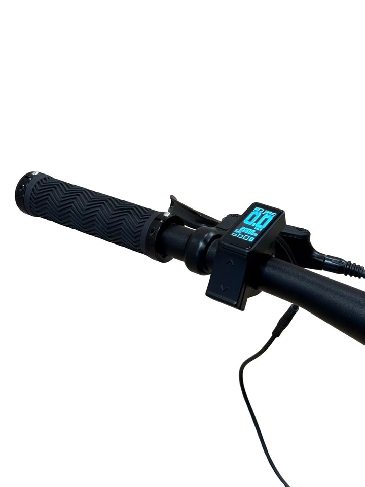 Tenways CGO600 E-Bike