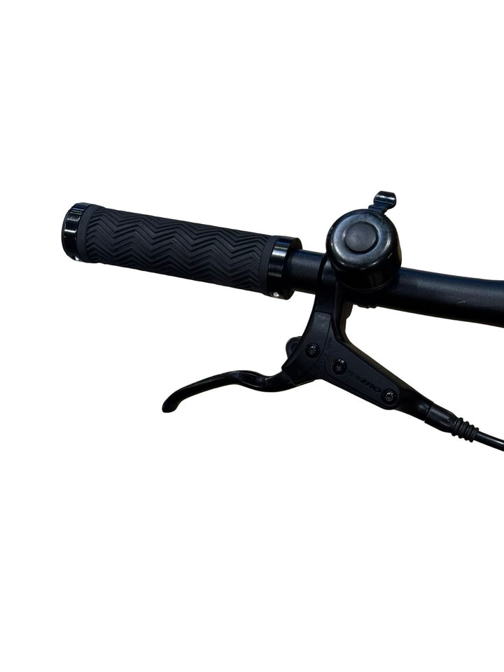 Tenways CGO600 E-Bike