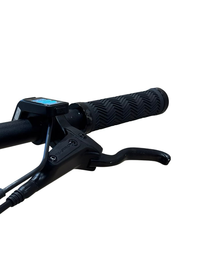 Tenways CGO600 E-Bike