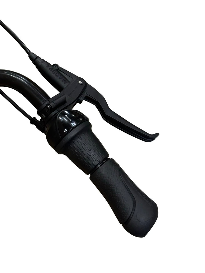 Gazelle Arroyo C7+ HMB Elite E-Bike