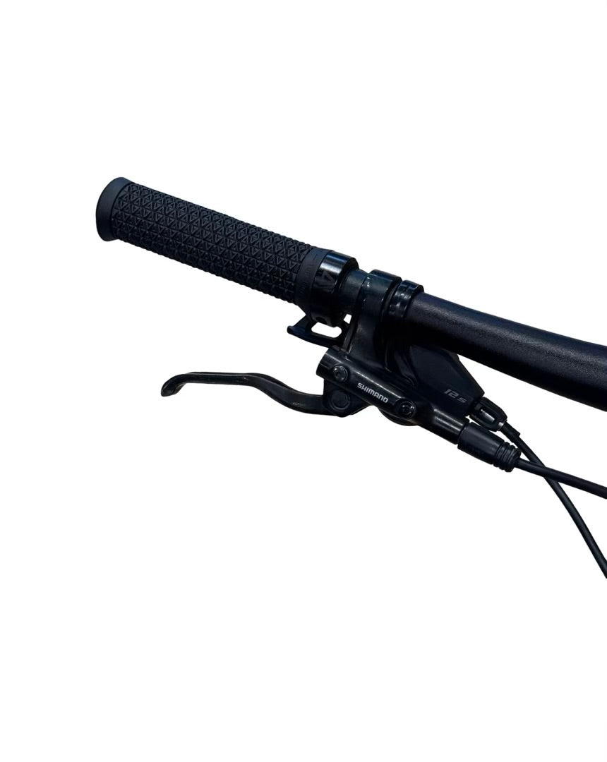 Cube Reaction Hybrid Race 800 29 pouces VTT électrique