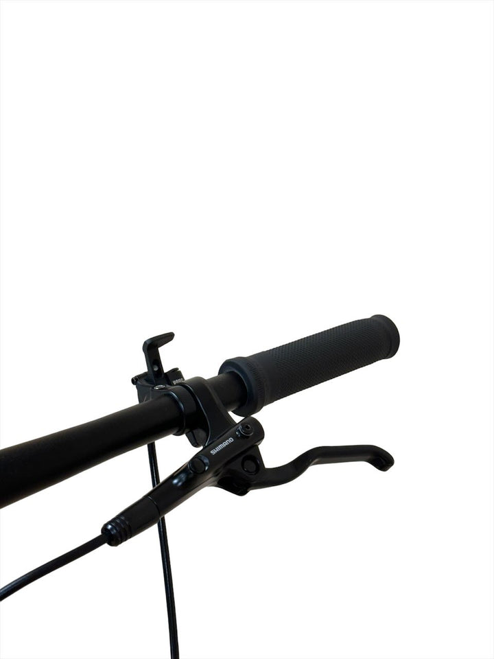 <tc>Cube</tc> Access WS SL 29 inch mountain bike