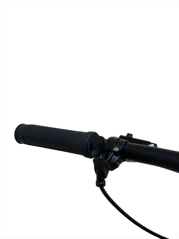 <tc>Cube Access WS SL 29 pulgadas Bicicleta de montaña</tc>