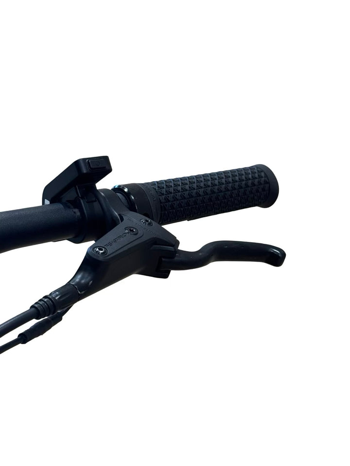 Tenways CGO600 E-velosipēds