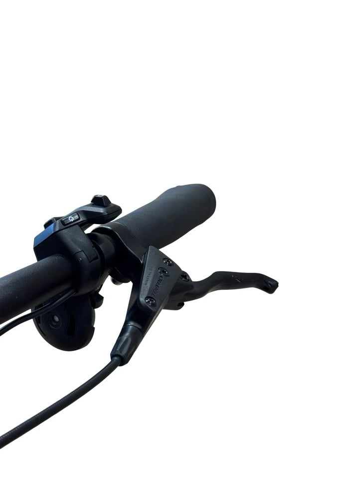 Hercules Intero I-R8 E-Bike