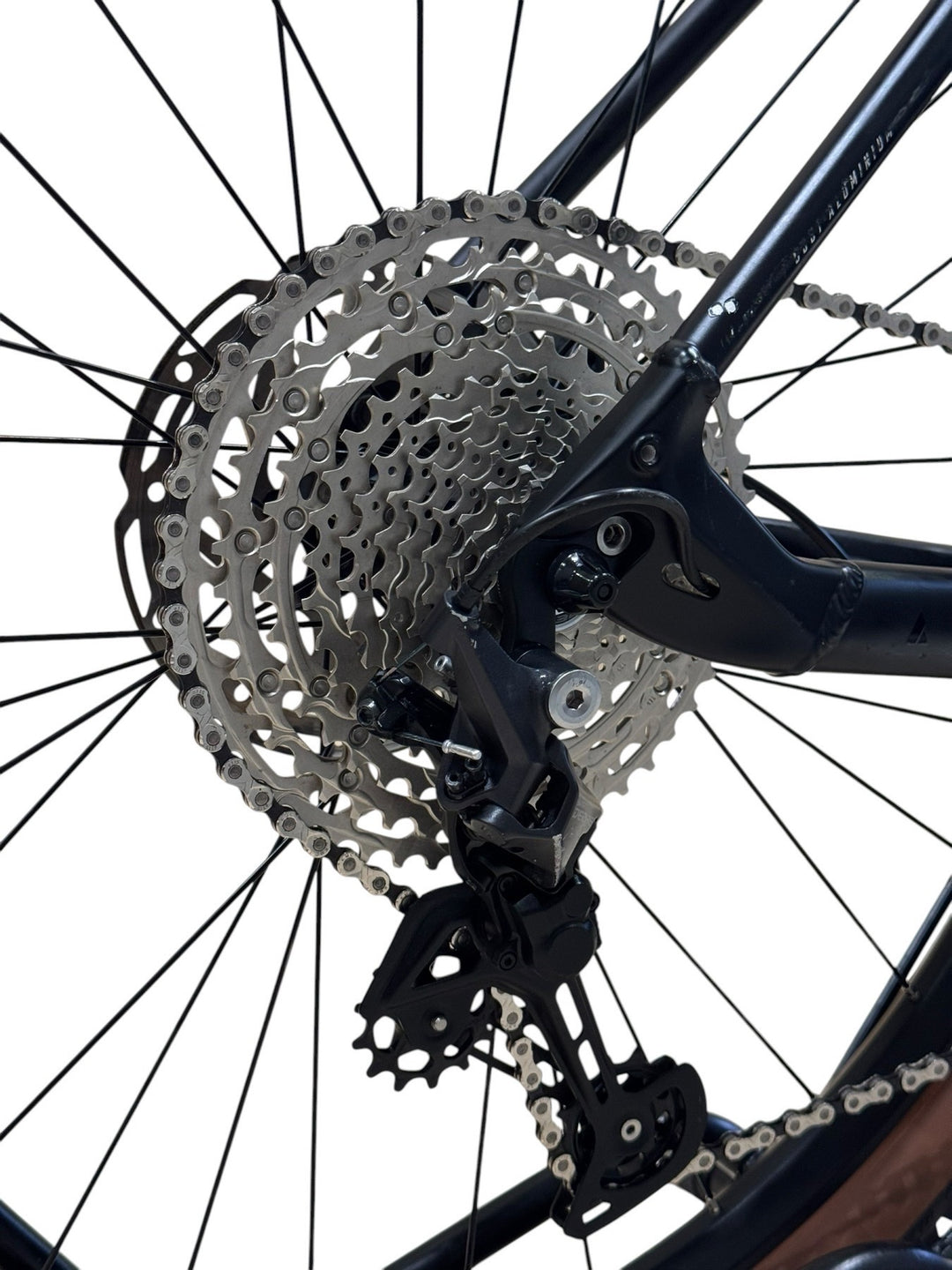 Bulls Copperhead Evo 2 29 inch E-Mountainbike