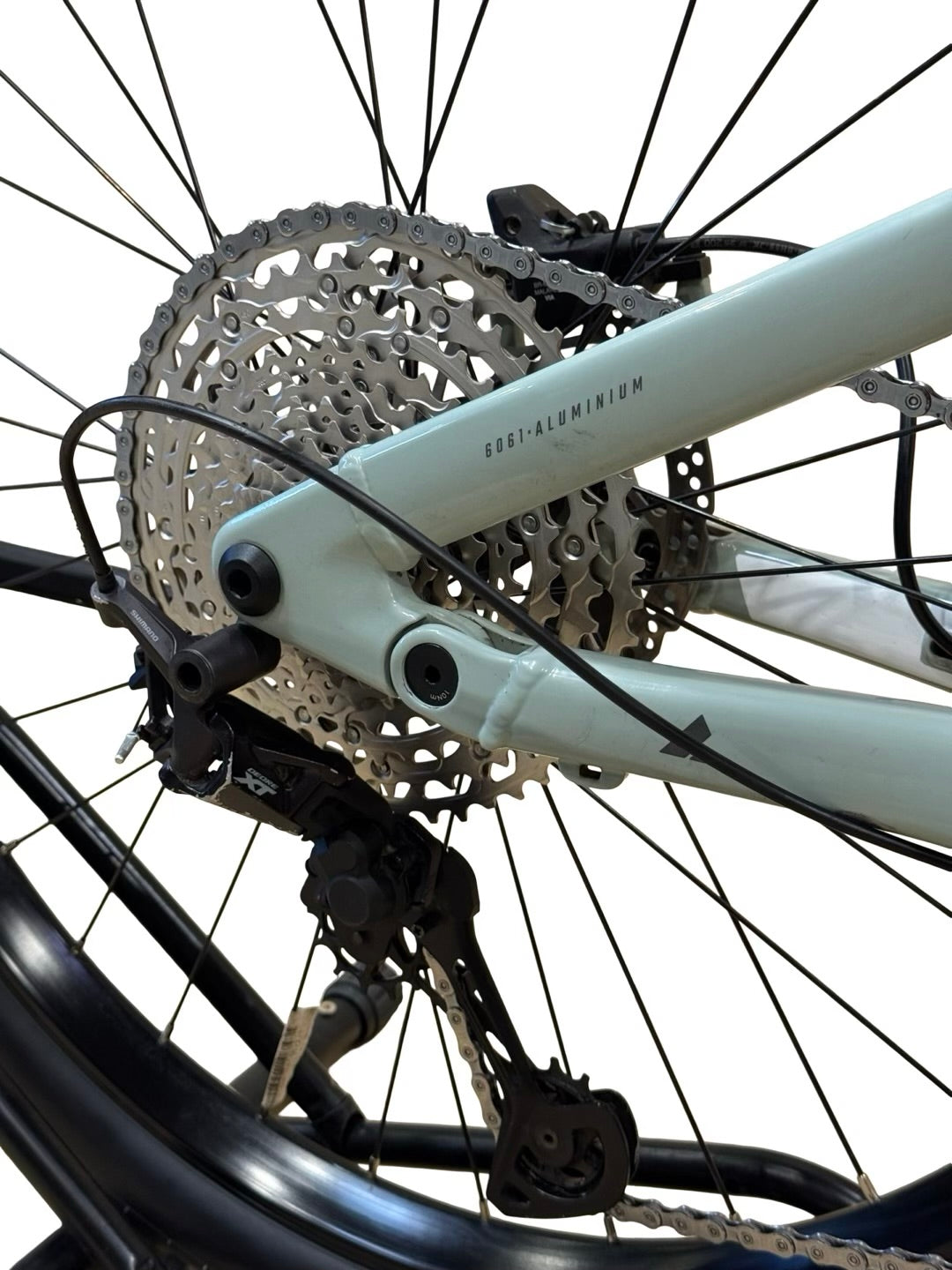 Bulls Aminga EVA TR 1 E-Mountainbike