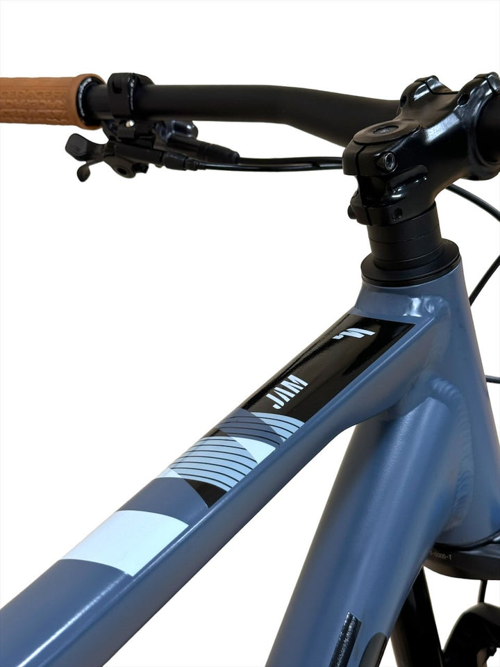 <tc>Focus Jam 6.8 Nine 29 polegadas Bicicleta de montanha</tc>