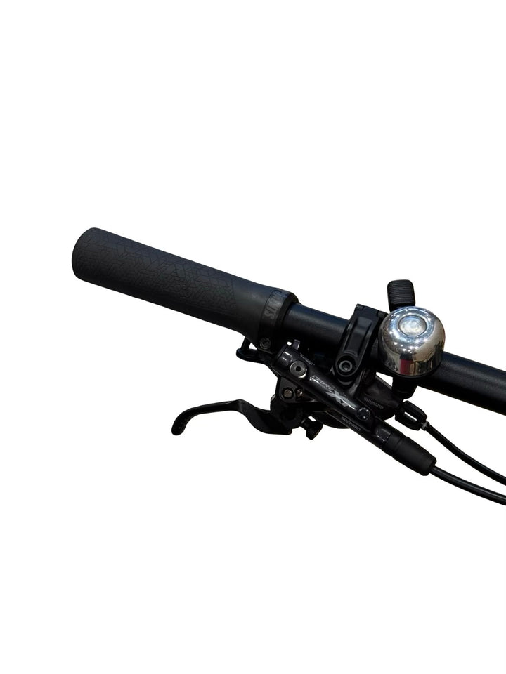 Haibike Lyke CF 11 29 Zoll E-Mountainbike