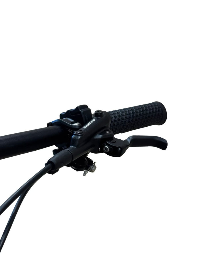 Bulls Sonic Evo EN SL 129 tuumaa E-maastopyörä