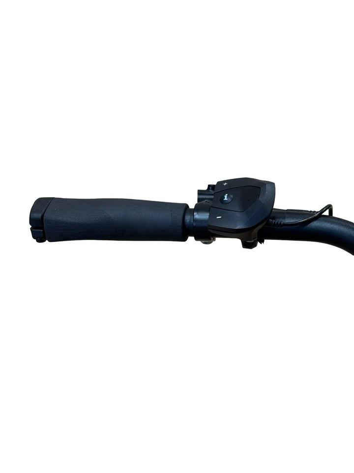 Diamant Beryll Deluxe+ E-Bike