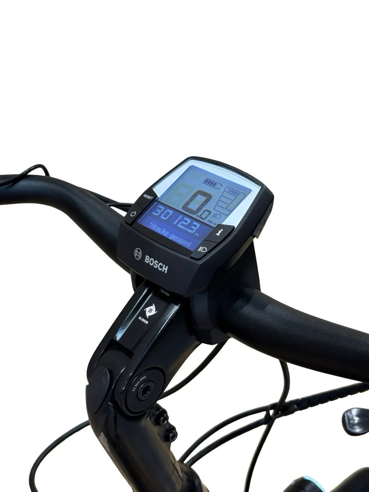 Diamant Beryll Deluxe+ E-Bike