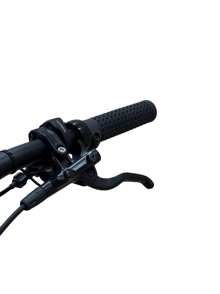 Canyon Grand Canyon:ON 9 29 inch E-Mountainbike