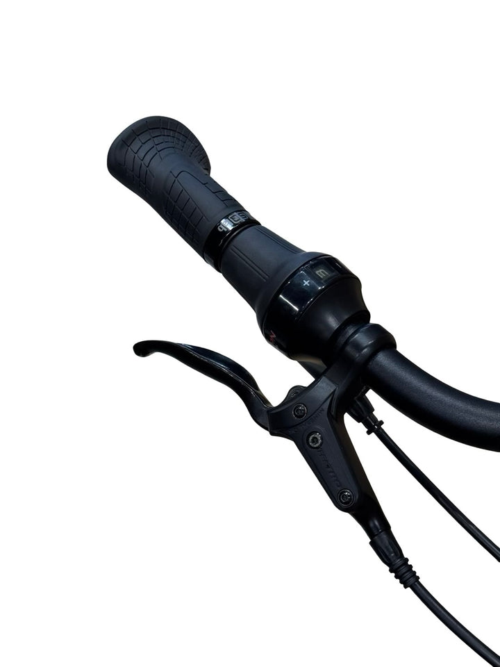 Batavus Finez E-go Power Exclusive E-Bike