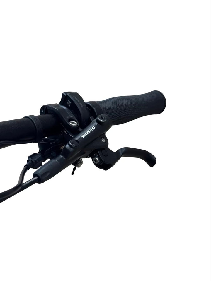 Stevens E-Inception AM 7.7.2 E-Mountainbike