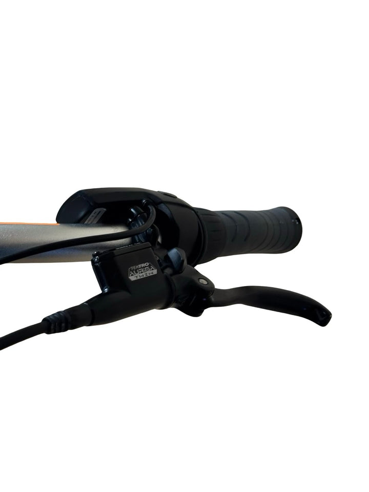 Nihola Dog E-Bike Refurbished Gebruikte fiets 