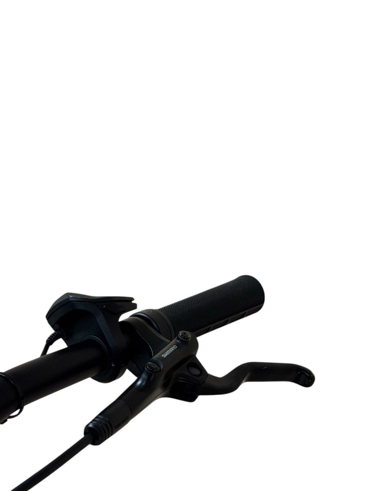 Pegasus Premio EVO 10 Lite E-Bike Refurbished Gebruikte fiets 