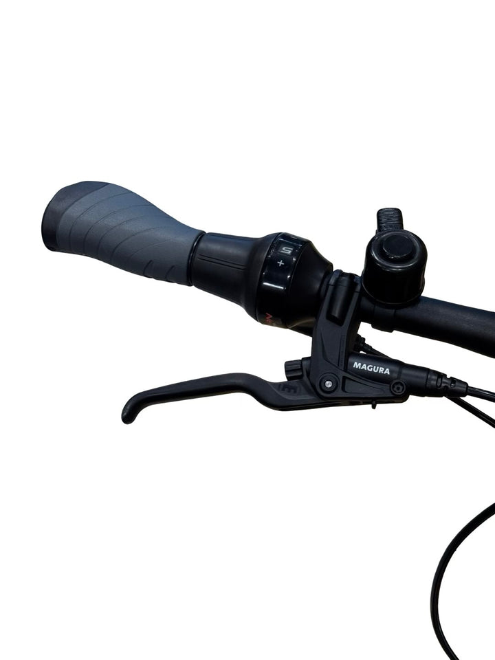 Pegasus Premio Evo 5 Belt E-Bike Refurbished Gebruikte fiets 