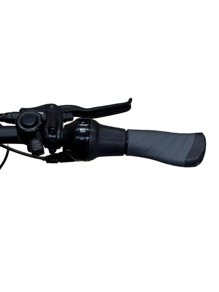 Pegasus Premio Evo 5 Belt E-Bike Refurbished Gebruikte fiets 