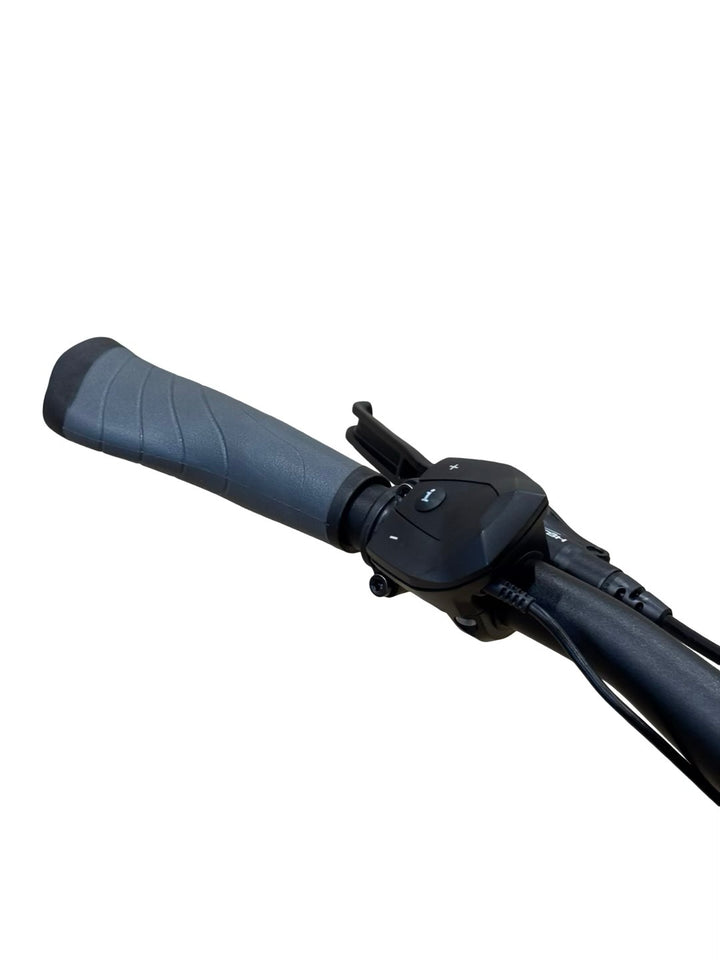 Pegasus Premio Evo 5 Belt E-Bike Refurbished Gebruikte fiets 