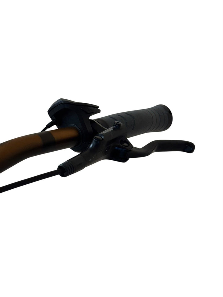 Pegasus Savino EVO 5R Performance E-Bike Refurbished Gebruikte fiets 