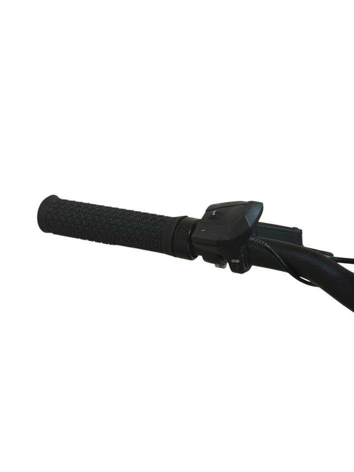 Pegasus Strong Evo 10 Lite 625 E-Bike Refurbished Gebruikte fiets 