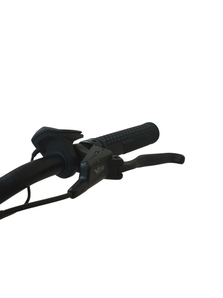 Pegasus Strong Evo 10 Lite 625 E-Bike Refurbished Gebruikte fiets 