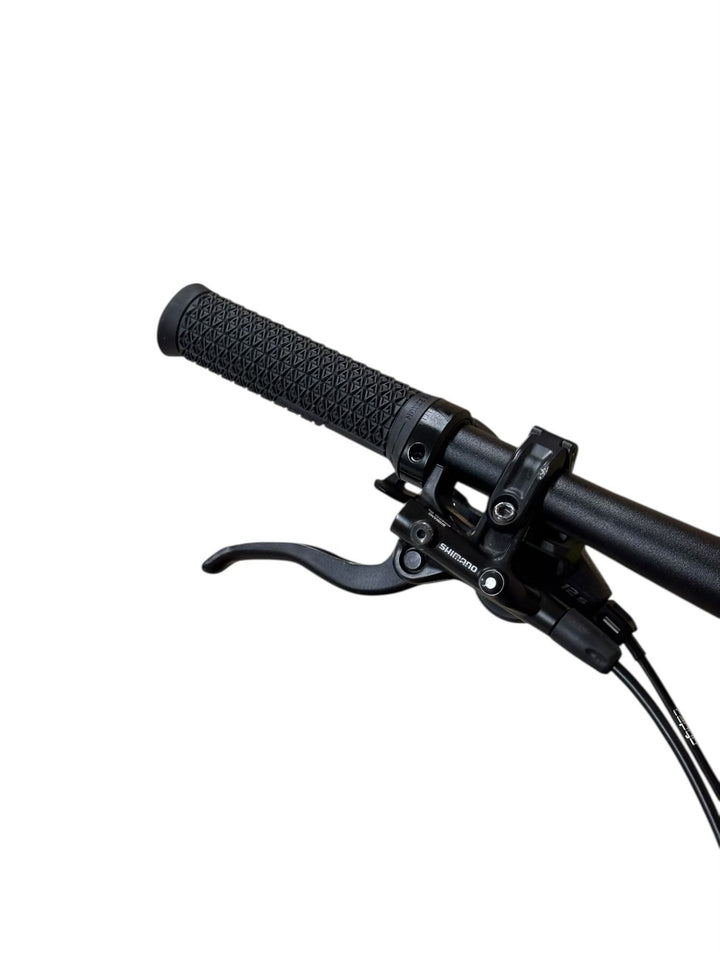 Cube Reaction Hybrid Race 800 29 pouces VTT électrique