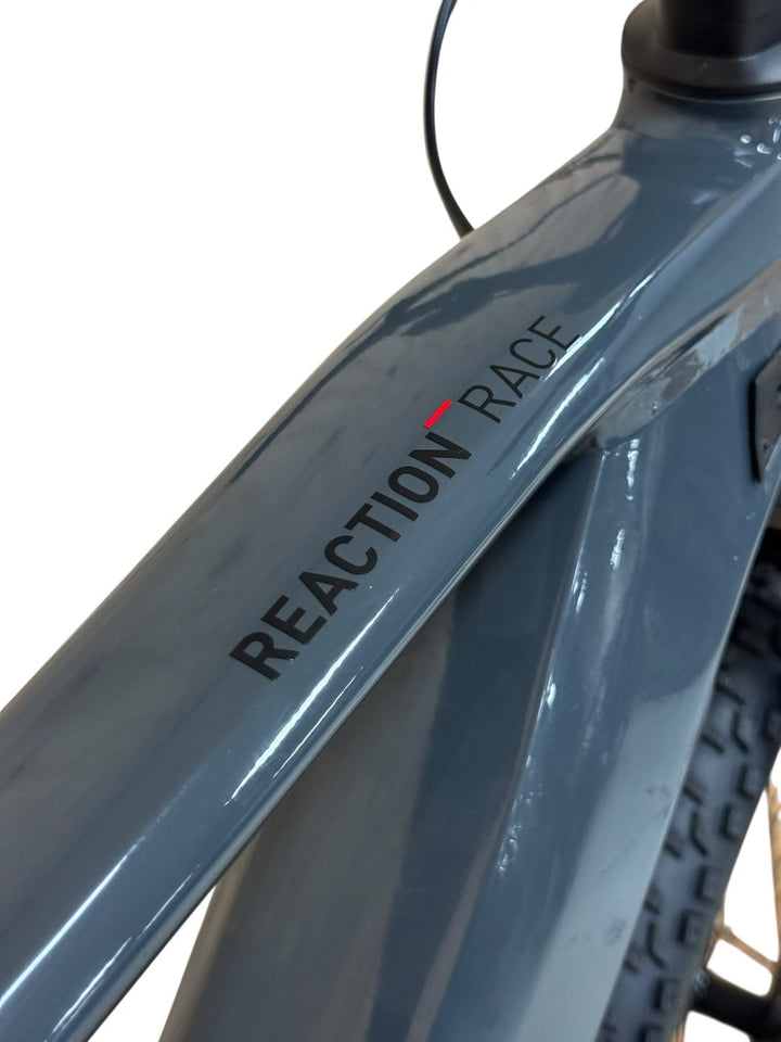 Cube Reaction Hybrid Race 625 29 palců Horská elektrokola