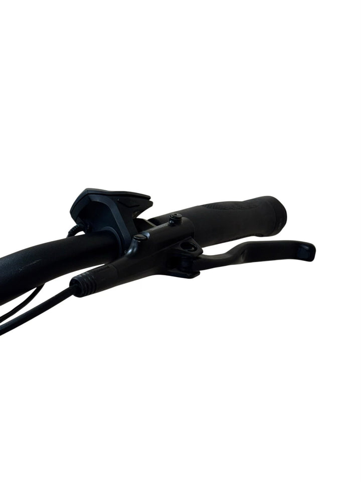 KTM ZEG Cento 10 Elektrokola