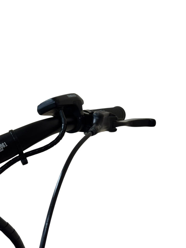 Raymon Crossray E 4.0 električno kolo