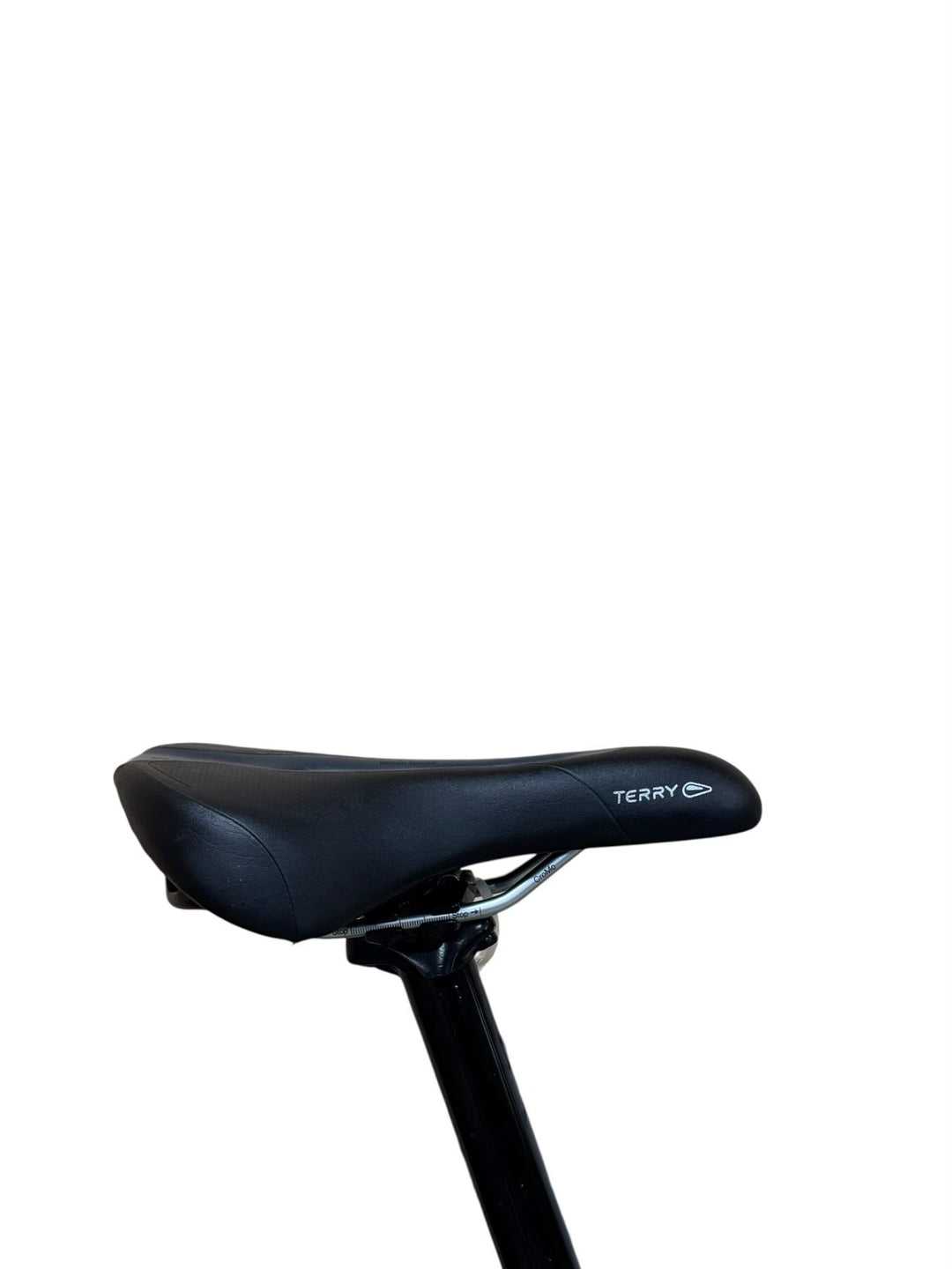 Cannondale Moterra Neo EQ 29 inch E-Mountainbike