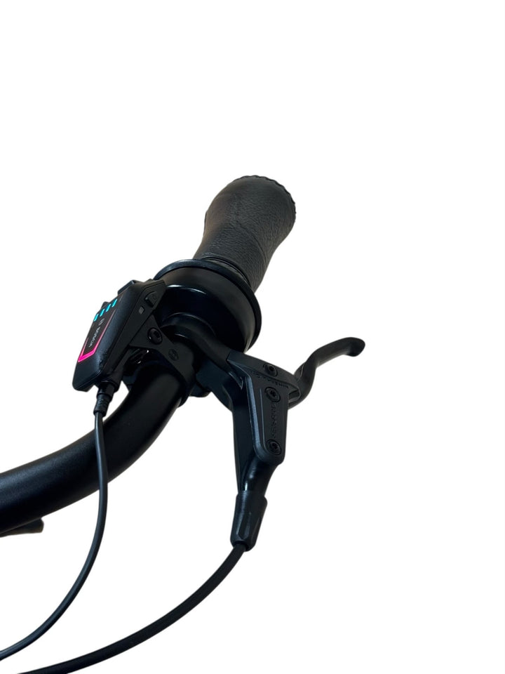 Gazelle Grenoble C5 HMB Elektrokola