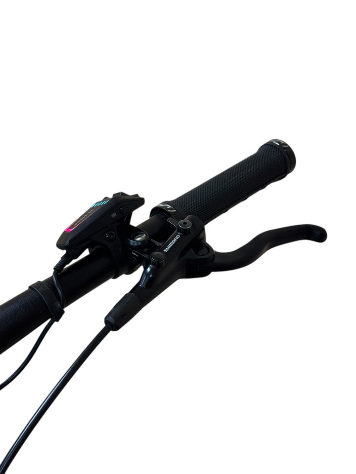 Cube Reaction Hybrid Race 750 29 pouces VTT électrique