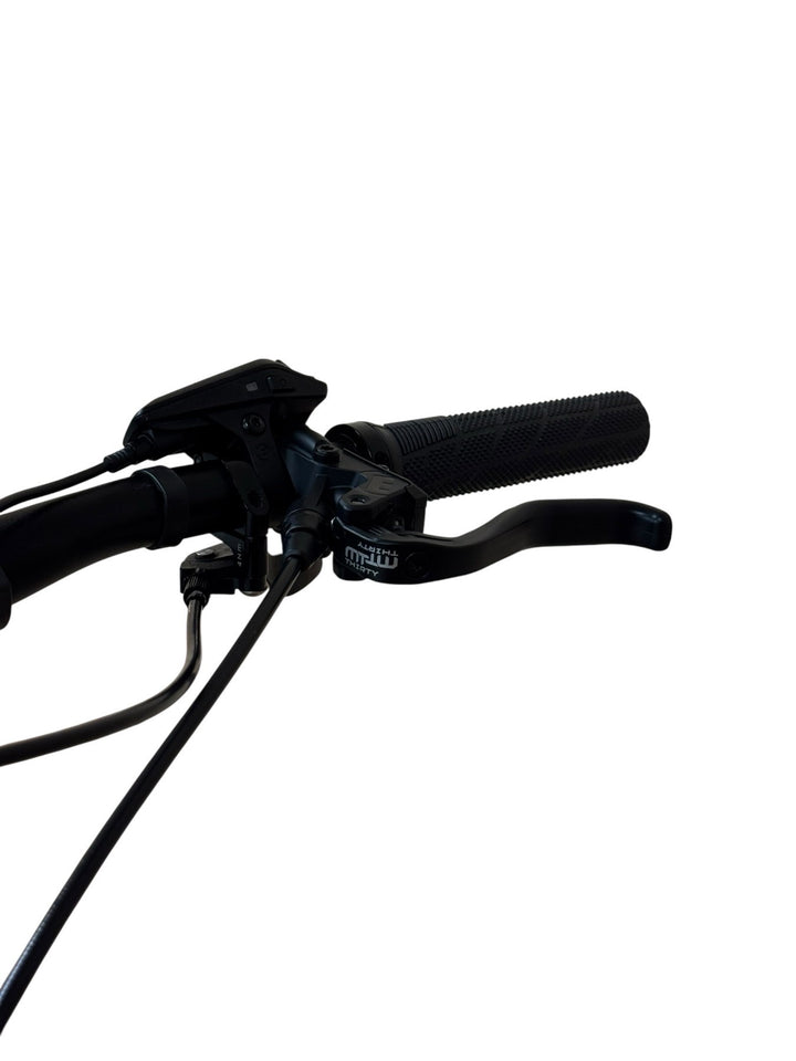 Cube Stereo Hybrid 160 HPC Race 750 E-Mountainbike