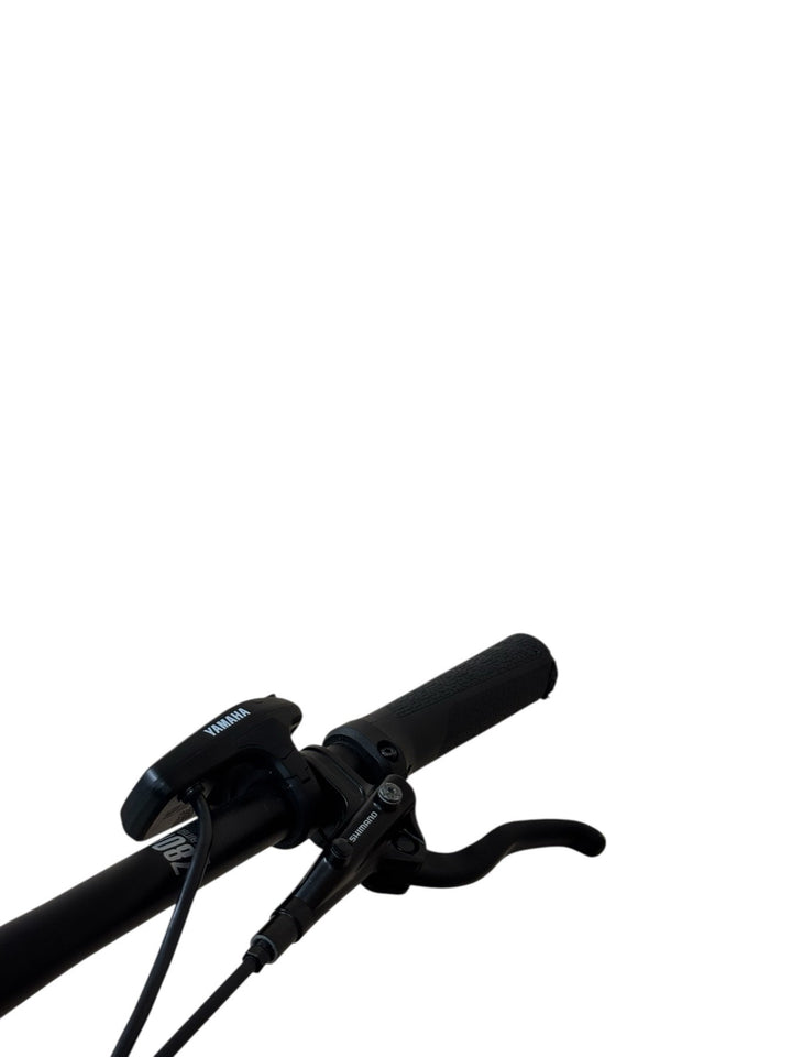 Haibike AllTrack 7 29 pulgadas bicicleta de montaña eléctrica