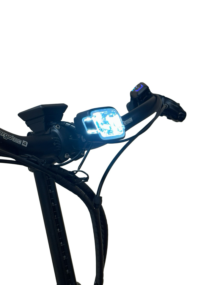 Qio Eins+ P-E E-Bike Refurbished Gebruikte fiets 