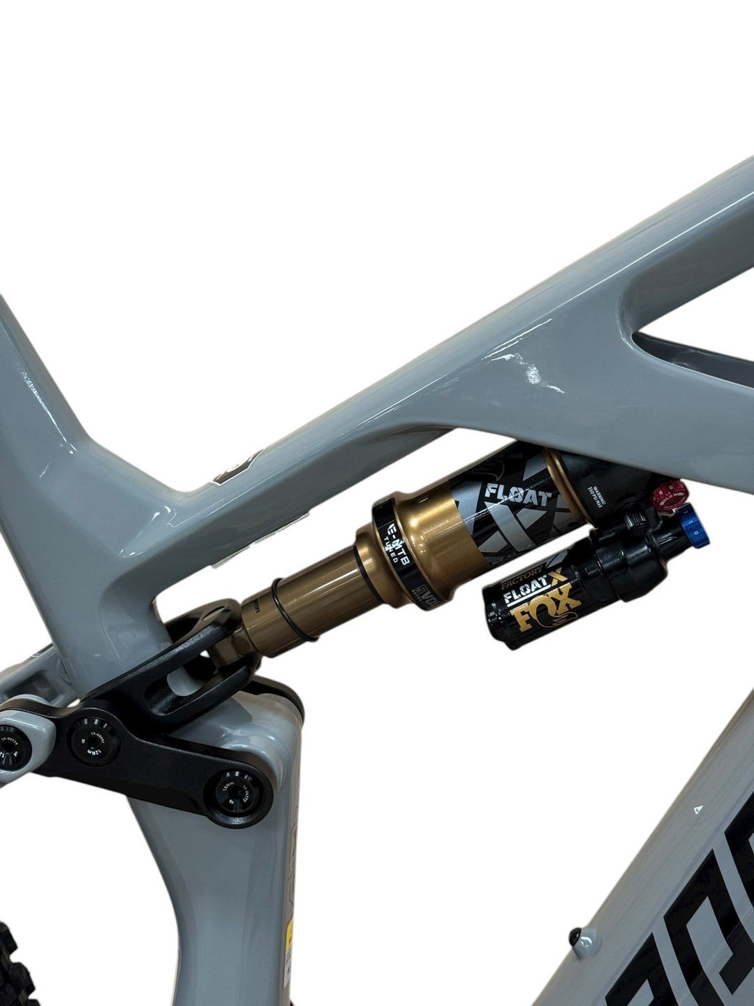 Radon Render 10.0 750 29 inch E-Mountainbike Refurbished Gebruikte fiets