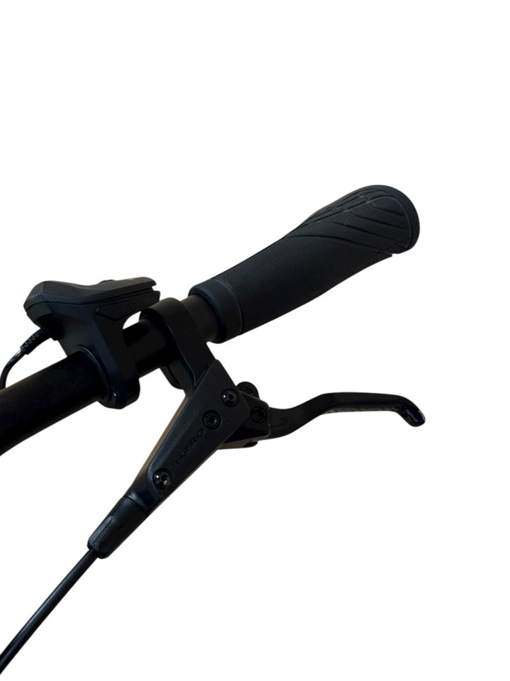 Raleigh Kent 11 XXL E-Bike Refurbished Gebruikte fiets