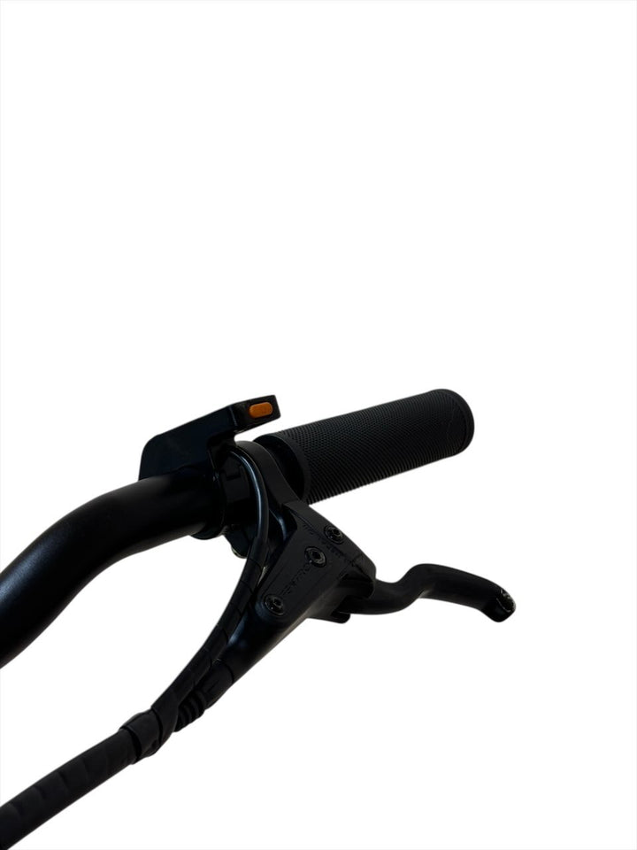 Raymon FourRay E 1.0 E-Mountainbike Refurbished Gebruikte fiets