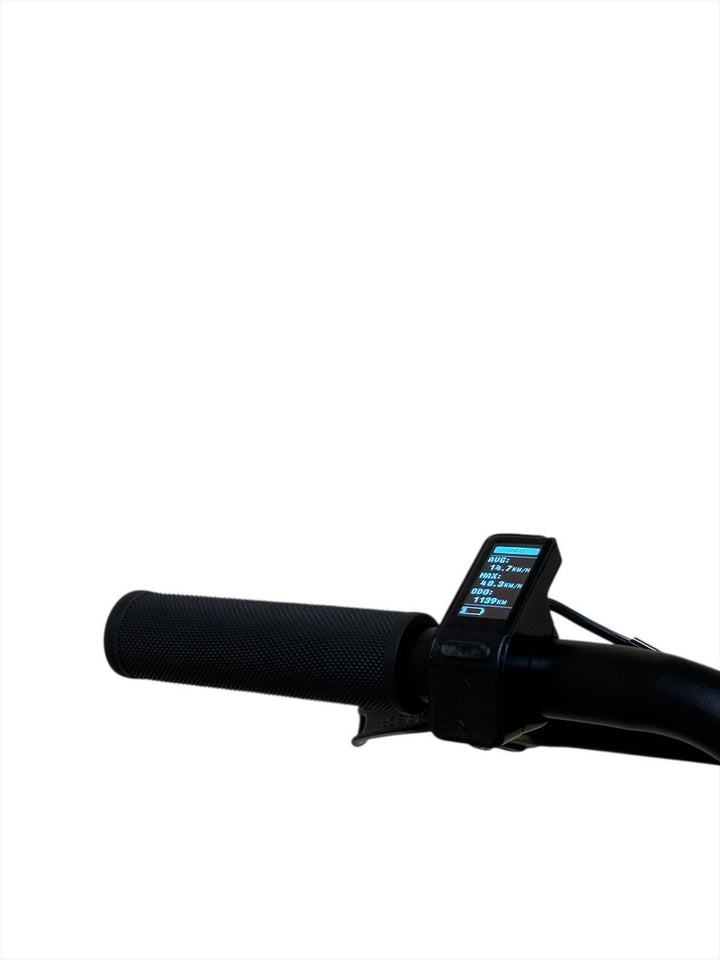 Raymon FourRay E 1.0 E-Mountainbike Refurbished Gebruikte fiets