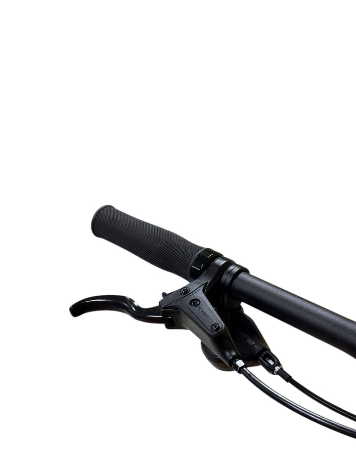 Raymon Hardray E-Nine 4.0 29 inch E-Mountainbike Refurbished Gebruikte fiets