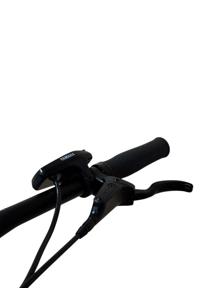 Raymon Hardray E-Nine 4.0 29 inch E-Mountainbike Refurbished Gebruikte fiets