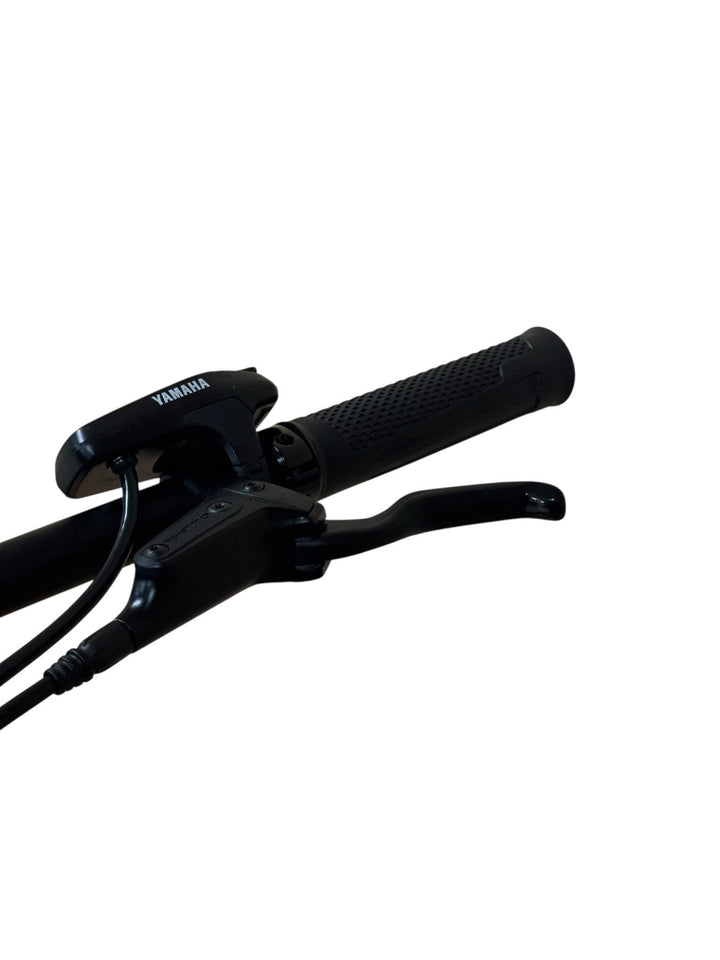 Raymon Hardray E-Nine 4.0 29 inch E-Mountainbike Refurbished Gebruikte fiets