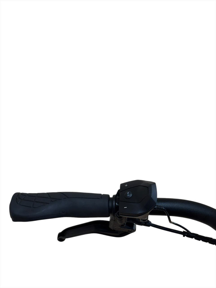 Riese & Müller Charger3 vario E-Bike Refurbished Gebruikte fiets