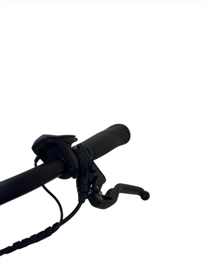 Riese & Müller Charger3 vario E-Bike Refurbished Gebruikte fiets