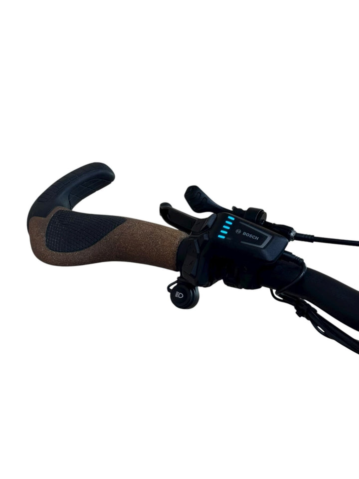 Riese & Müller Delite4 GT Vario E-Bike Refurbished Gebruikte fiets 