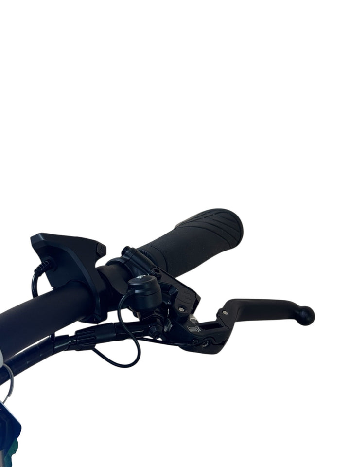 Riese & Müller Delite GT Vario E-Bike Refurbished Gebruikte fiets