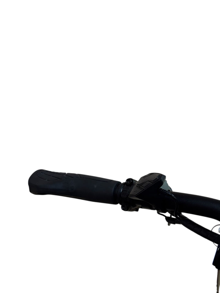 Riese & Müller Delite GT Vario E-Bike Refurbished Gebruikte fiets