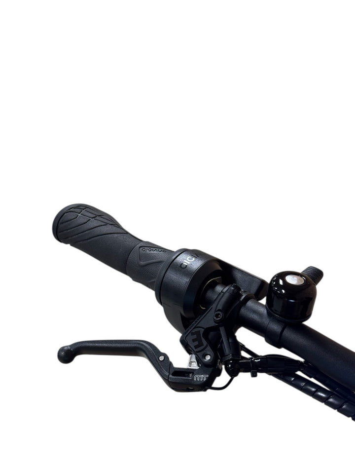 Riese & Müller Delite GT Vario E-Bike Refurbished Gebruikte fiets